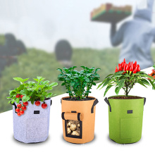 Outdoor indoor garden supplier 5 7 10 gallon fabric felt plant grow bags potato vegetable grow bags for vegetable